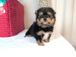 BeautyPlus_20251204135411735_1_save2